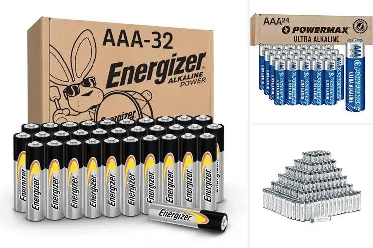Detailed view of Best AAA Alkaline Batteries