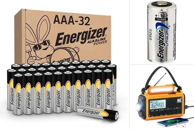 Detailed view of Best Batteries For Emergency Kits