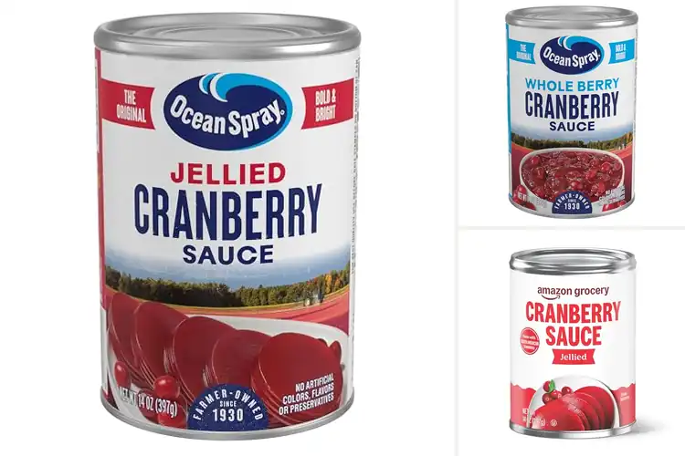 Detailed view of Best Canned Cranberry Sauces: Top Tasty Picks for Your Meals