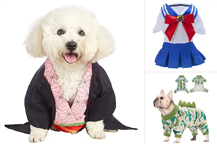 Detailed view of Best Cosplay Pet Outfits: 7 Adorable & Comfy Options for Fun