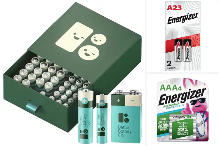 Detailed view of Best Eco-Friendly Batteries