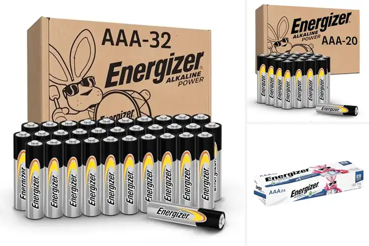 Detailed view of Best Energizer AAA Batteries