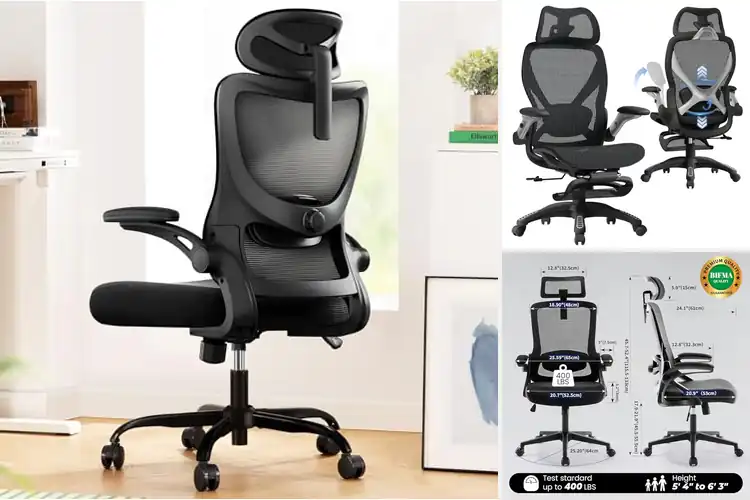 Detailed view of Best Ergonomic Chairs