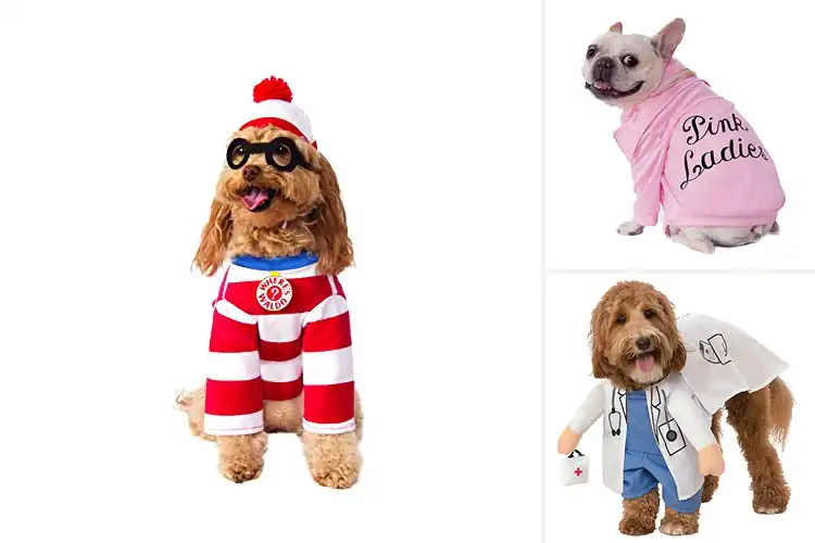 Detailed view of Best Fit For 21-29Lbs Pets: Stylish, Comfortable Costumes