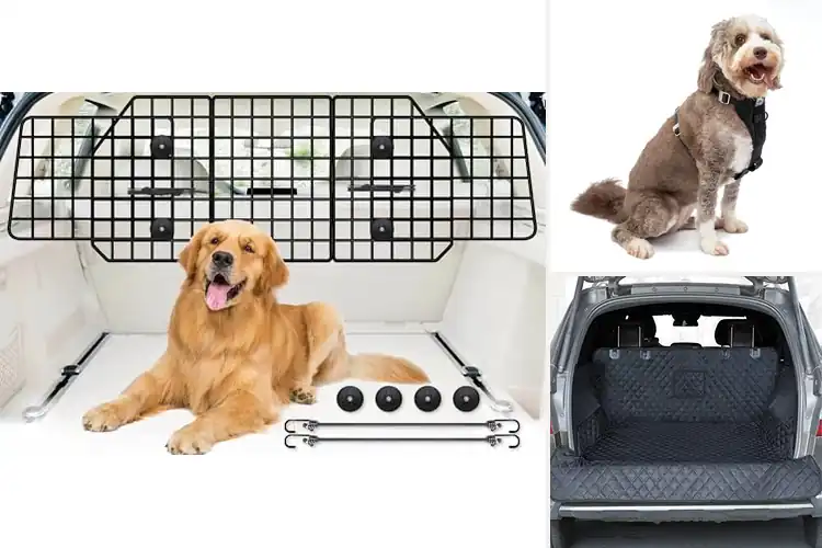 Detailed view of Best Fit For Large Pets