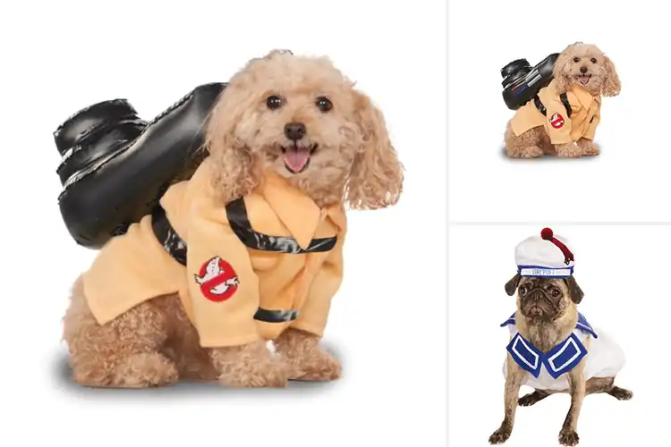 Detailed view of Best Ghostbusters Cat Costumes