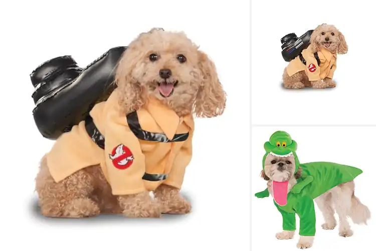 Detailed view of Best Ghostbusters Costumes For Pets