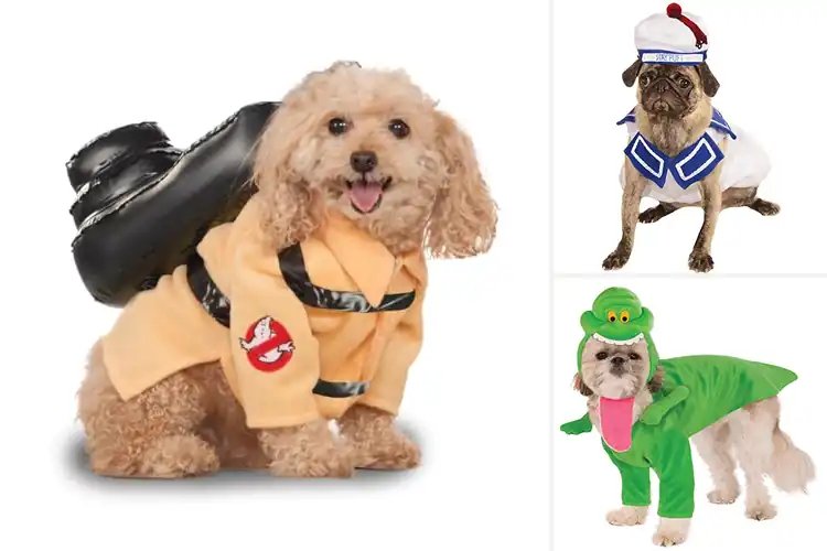 Detailed view of Best Ghostbusters Dog Costumes