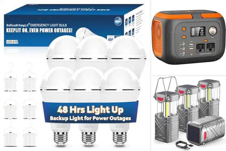 Detailed view of Best Hurricane Supply Batteries