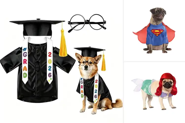Detailed view of Best Party Ready Pet Costume: 10 Adorable & Comfy Options