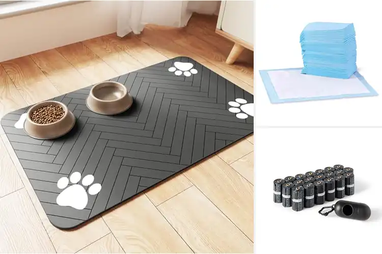 Detailed view of Best Pet Accessories: 10 Must-Haves for Happy, Healthy Pets