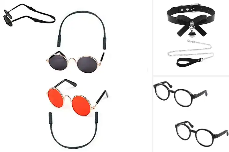 Detailed view of Best Pet Cosplay Accessories