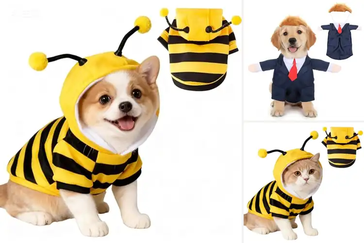 Detailed view of Best Pet Cosplay Costumes