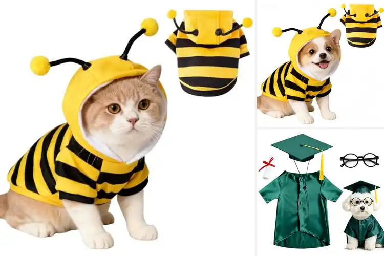 Detailed view of Best Pet Cosplay Outfits