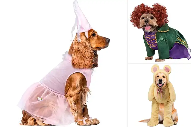 Detailed view of Best Pet Costumes for Large Pets: 10 Fun & Comfy Ideas