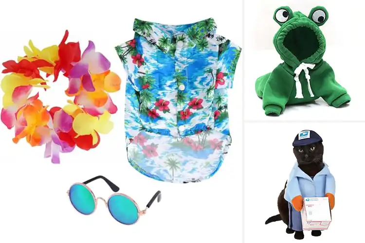 Detailed view of Best Pet Costumes