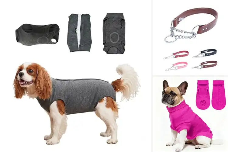 Detailed view of Best Size Chart Recommended For Pets