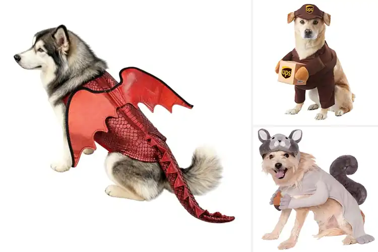 Detailed view of Best Size Large Pet Costumes