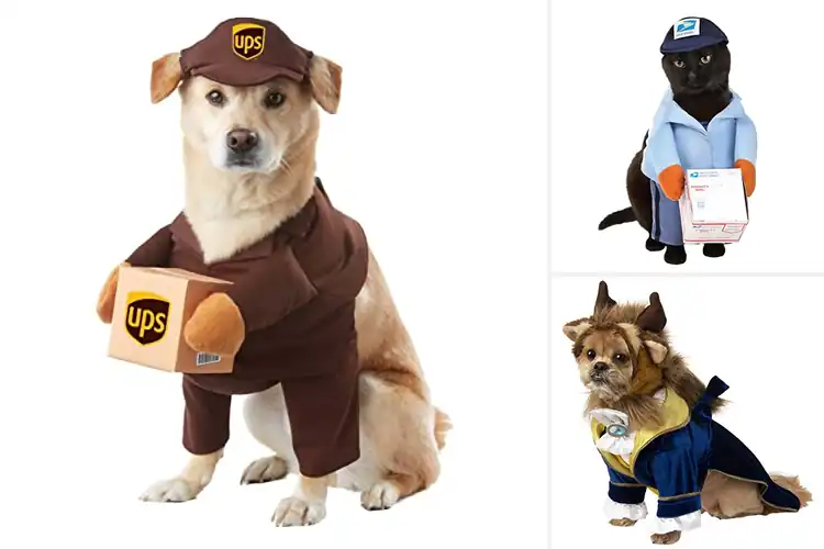 Detailed view of Best Sized Pet Costume Large