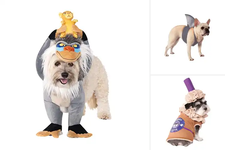 Detailed view of Best Themed Costumes for Pets: Top 10 Fun & Comfy Picks