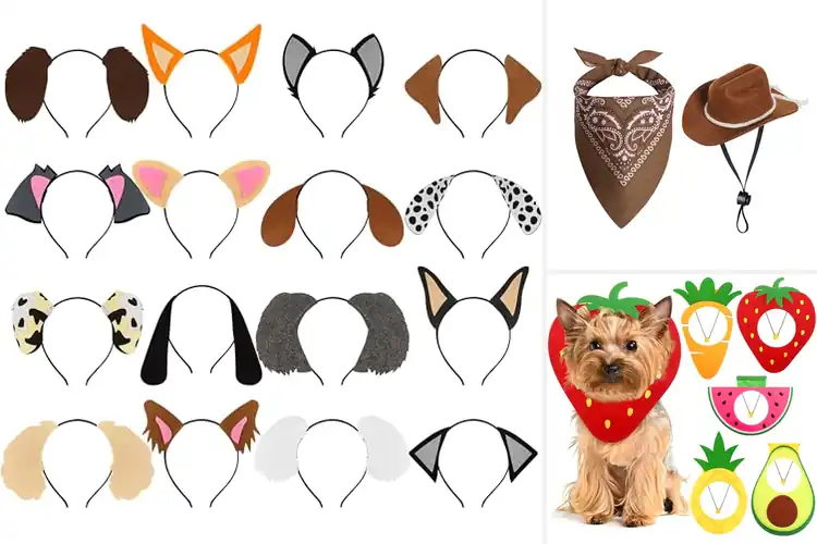 Detailed view of Best Themed Parties Pet Costumes That Steal the Spotlight