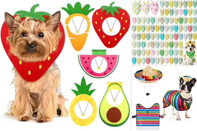 Detailed view of Best Themed Party Pet Costumes