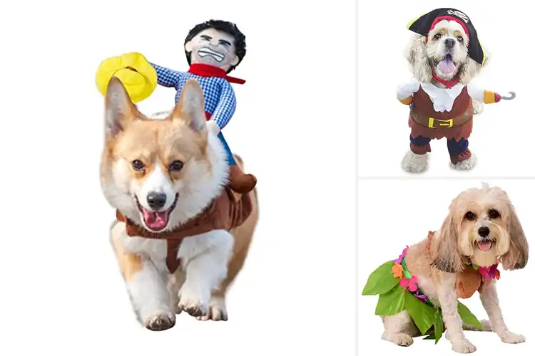 Detailed view of Best Themed Pet Costumes